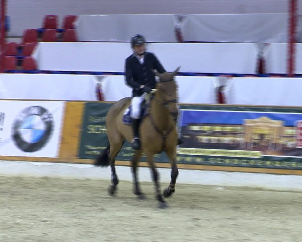 Hallenchampionat Vechta 2015