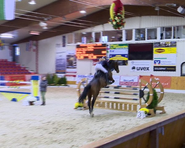 Hallenchampionat Vechta 2015