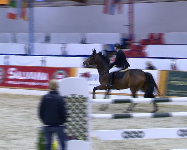 Hallenchampionat Vechta 2015