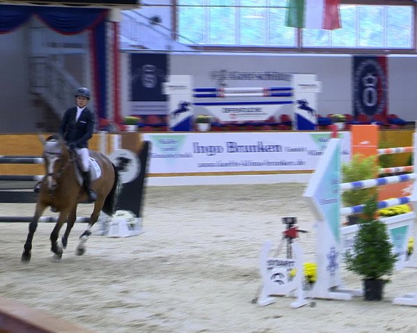 Hallenchampionat Vechta 2015