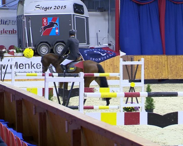 Hallenchampionat Vechta 2015