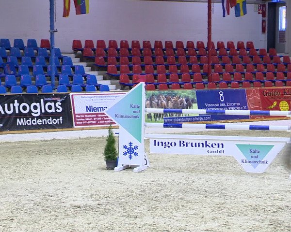 Hallenchampionat Vechta 2015