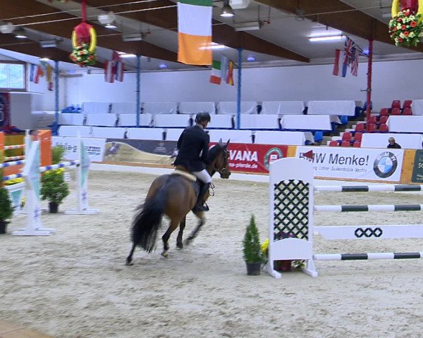 Hallenchampionat Vechta 2015