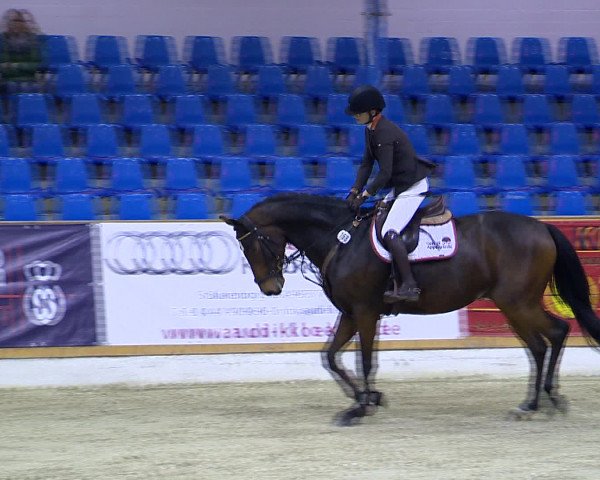 Hallenchampionat Vechta 2015