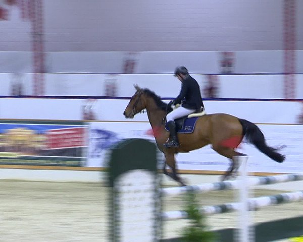 Hallenchampionat Vechta 2015