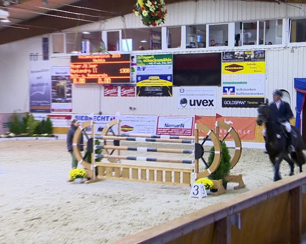 Hallenchampionat Vechta 2015