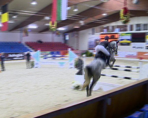 Hallenchampionat Vechta 2015