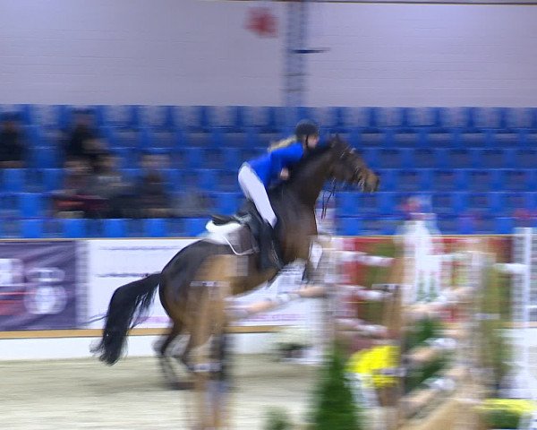 Hallenchampionat Vechta 2015