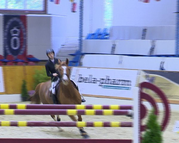 Hallenchampionat Vechta 2015