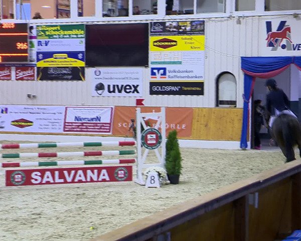 Hallenchampionat Vechta 2015