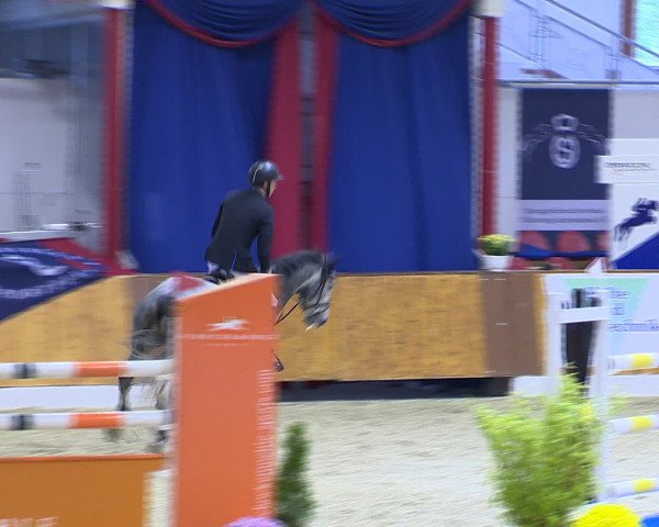 Hallenchampionat Vechta 2015