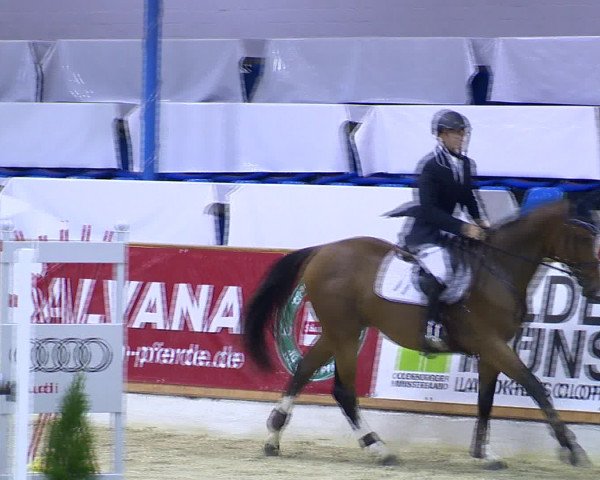Hallenchampionat Vechta 2015
