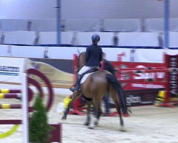 Hallenchampionat Vechta 2015