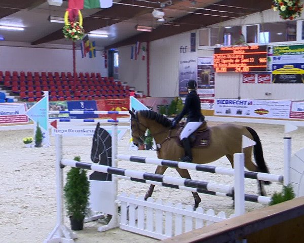 Hallenchampionat Vechta 2015