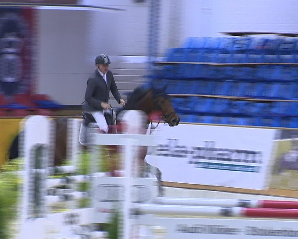 Hallenchampionat Vechta 2015