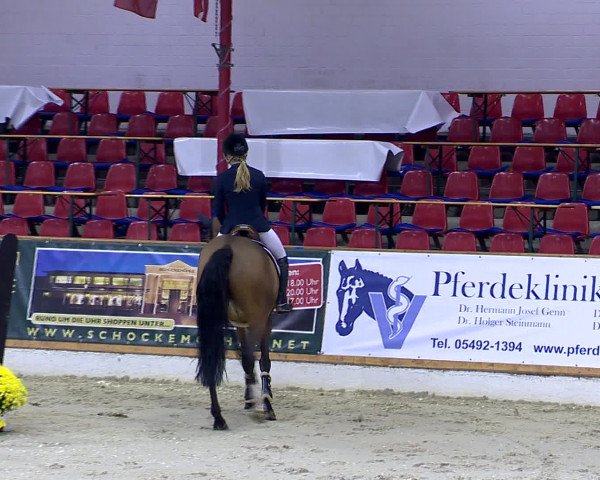 Hallenchampionat Vechta 2015