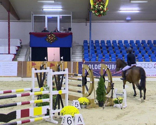 Hallenchampionat Vechta 2015