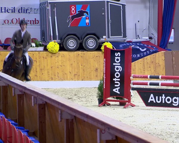 Hallenchampionat Vechta 2015