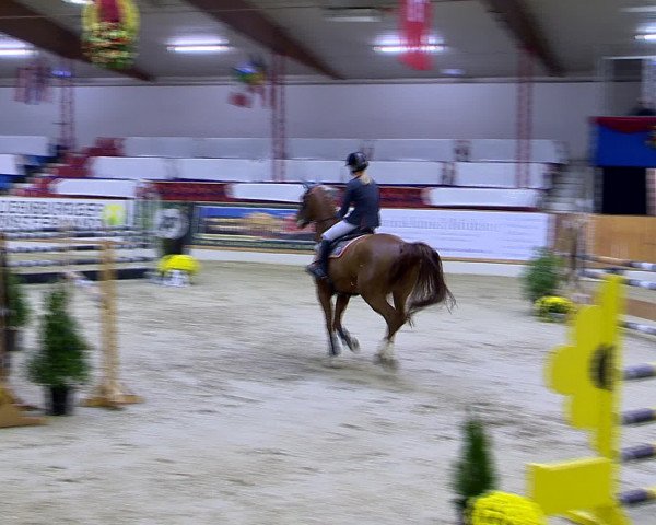 Hallenchampionat Vechta 2015