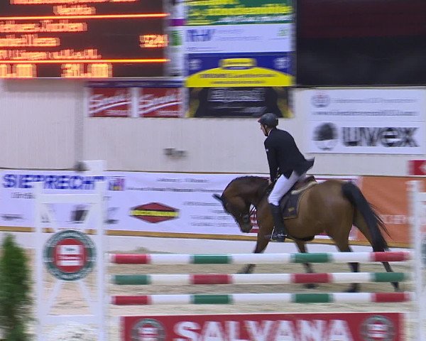 Hallenchampionat Vechta 2015