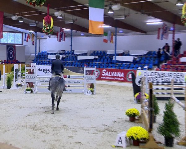 Hallenchampionat Vechta 2015