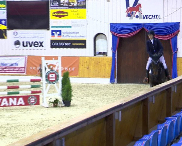 Hallenchampionat Vechta 2015