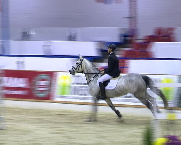 Hallenchampionat Vechta 2015