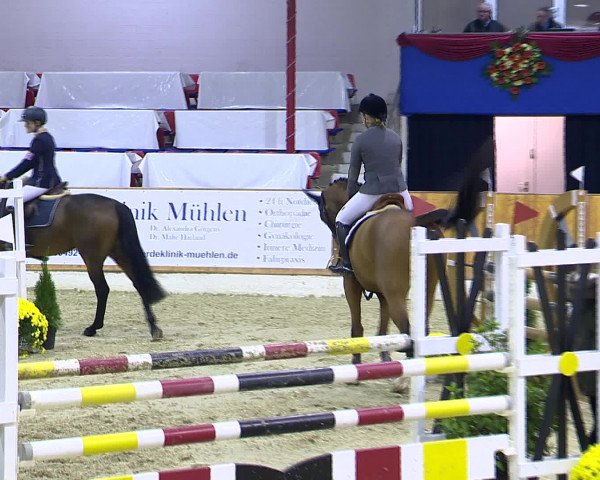 Hallenchampionat Vechta 2015