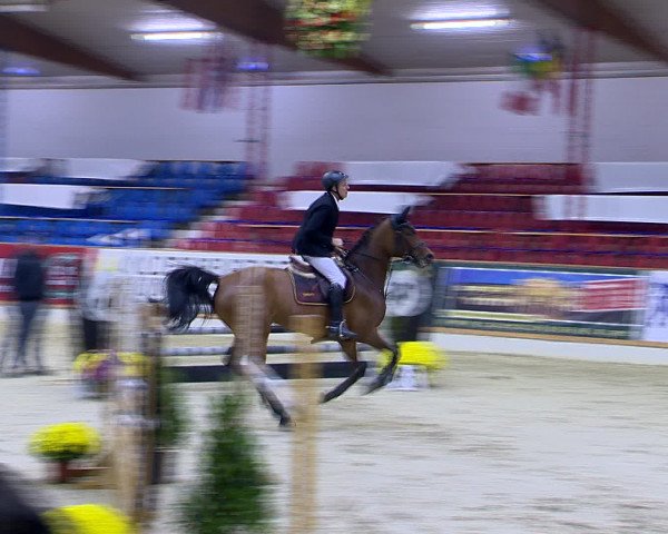 Hallenchampionat Vechta 2015