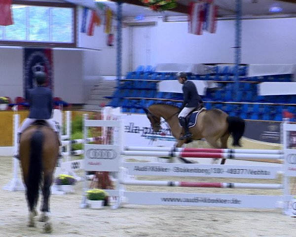 Hallenchampionat Vechta 2015