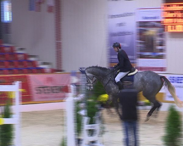 Hallenchampionat Vechta 2015