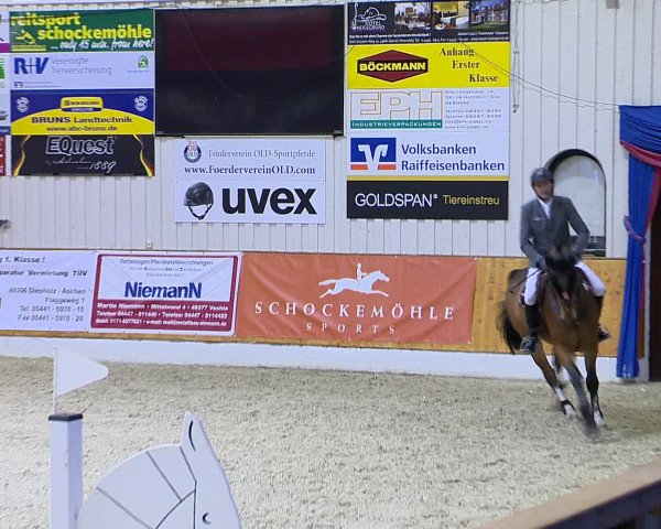 Hallenchampionat Vechta 2015
