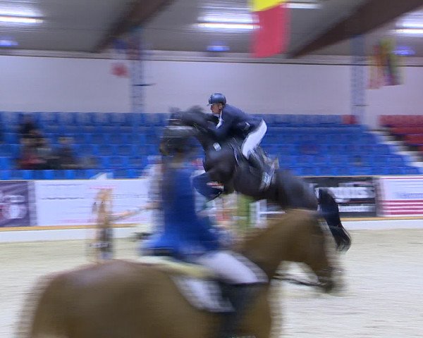 Hallenchampionat Vechta 2015