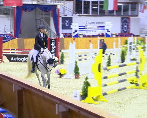 Hallenchampionat Vechta 2015