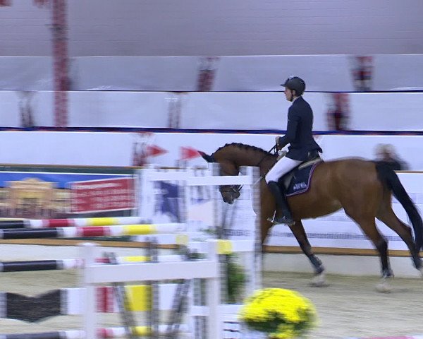 Hallenchampionat Vechta 2015