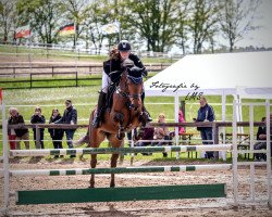 Springpferd Be Lucky 6 (Deutsches Sportpferd, 2014, von Colestus)