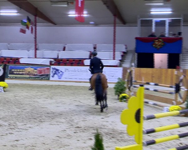 Hallenchampionat Vechta 2015