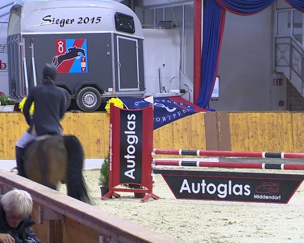Hallenchampionat Vechta 2015