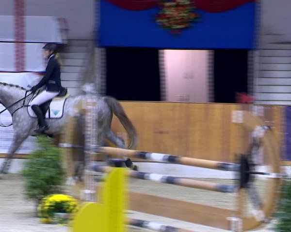 Hallenchampionat Vechta 2015