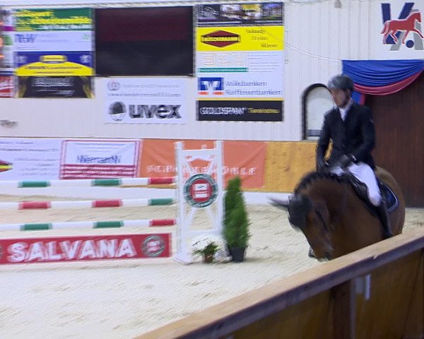 Hallenchampionat Vechta 2015