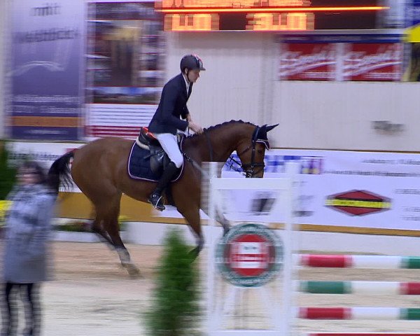 Hallenchampionat Vechta 2015