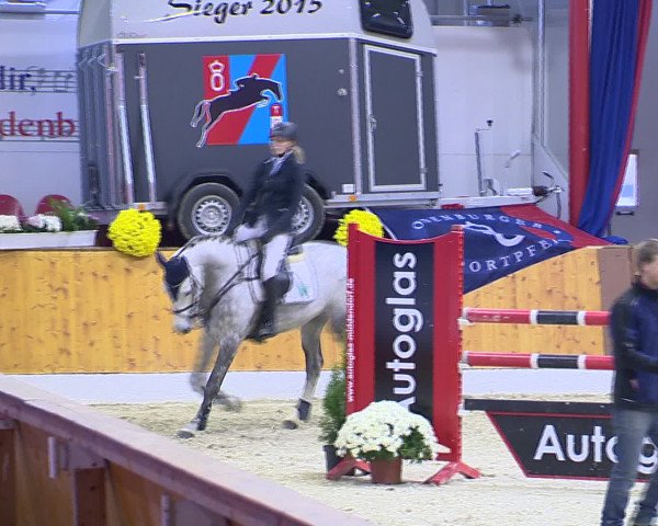 Hallenchampionat Vechta 2015