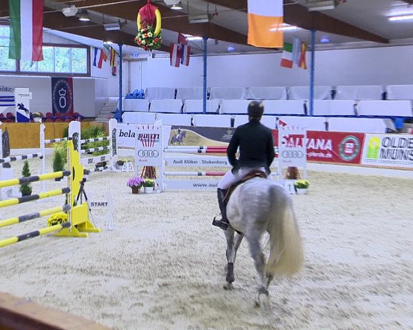 Hallenchampionat Vechta 2015