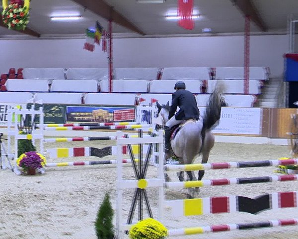 Hallenchampionat Vechta 2015