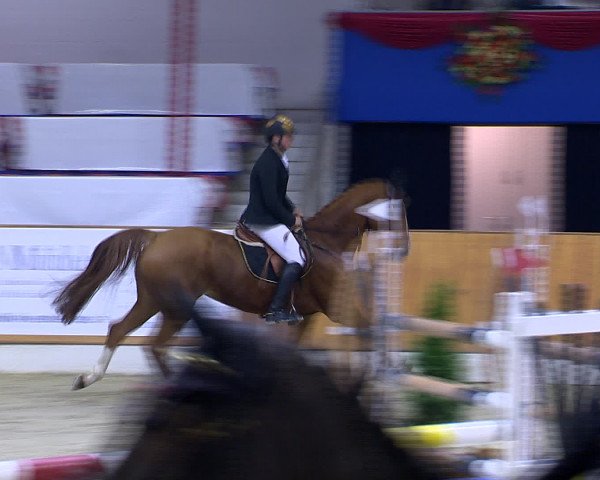 Hallenchampionat Vechta 2015