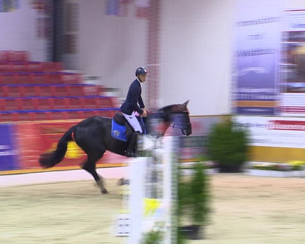 Hallenchampionat Vechta 2015