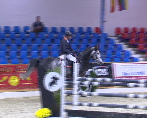Hallenchampionat Vechta 2015