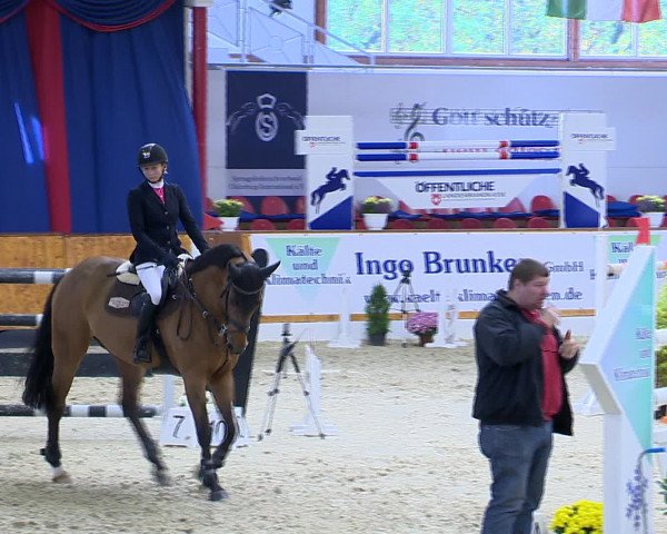 Hallenchampionat Vechta 2015