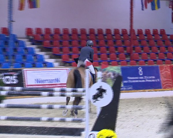 Hallenchampionat Vechta 2015
