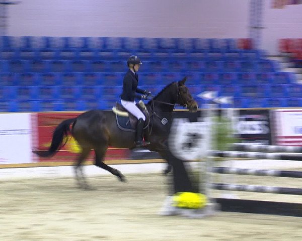 Hallenchampionat Vechta 2015